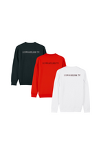 Lade das Bild in den Galerie-Viewer, Heavy Sweater Unisex Ludwigsfelder TTC