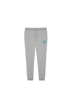 Lade das Bild in den Galerie-Viewer, Unisex Jogger Kolbermoor Panthers
