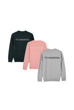 Lade das Bild in den Galerie-Viewer, Light Sweater Unisex TTC Gnadental